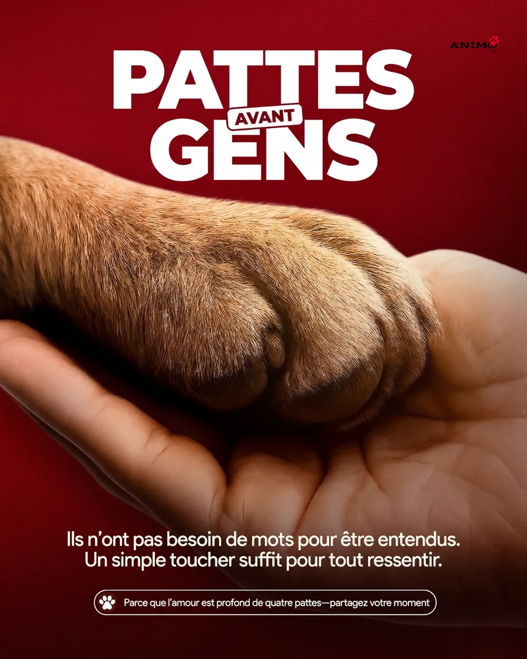 Campaign creative reading Pattes avant gens, a dog's paw resting in an open hand on a deep red ground